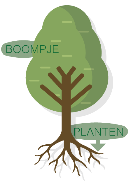 Adopteer, sponsor of plant een boom